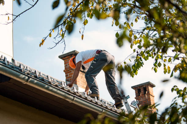 Best Commercial Roofing Services  in Bells, TX